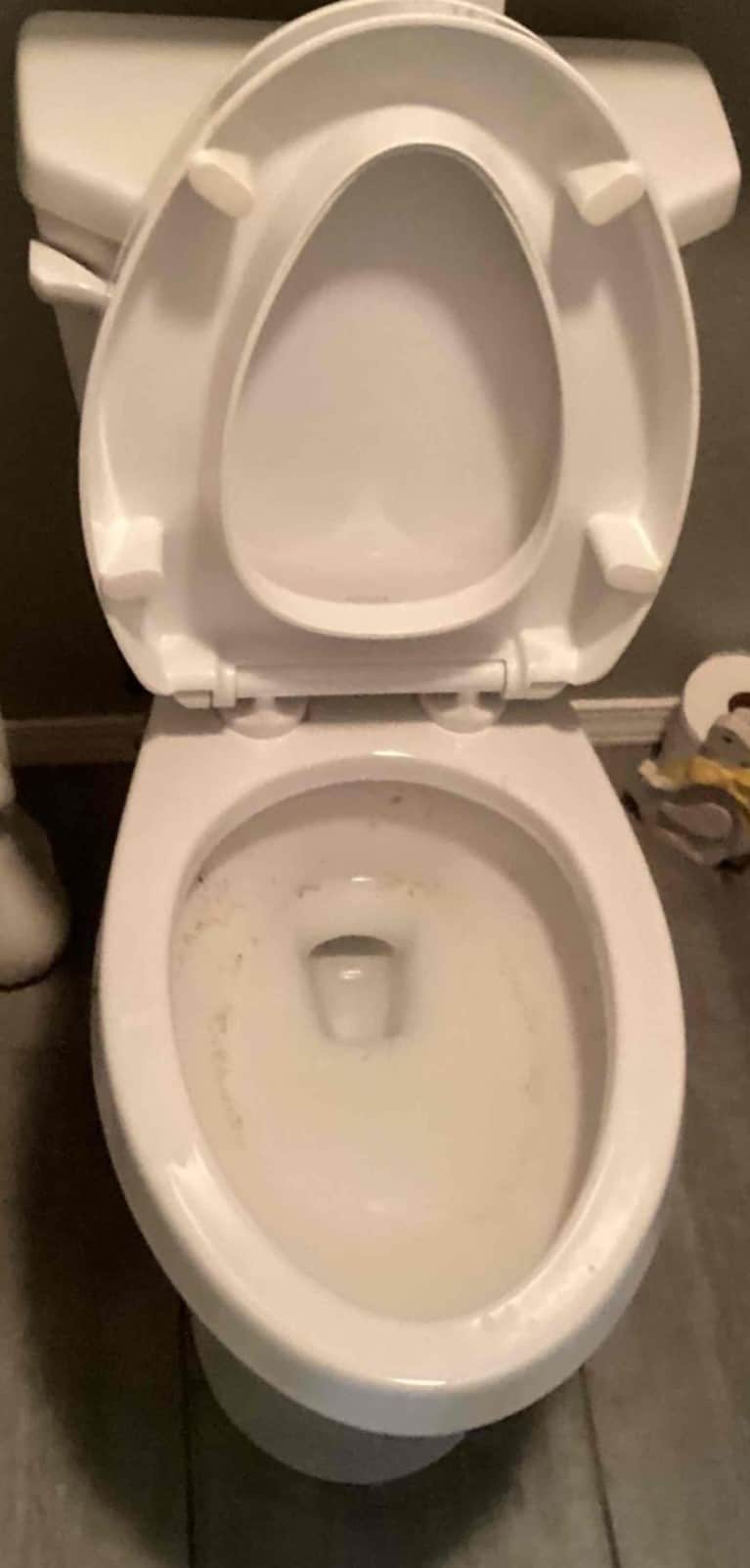 Drain Services